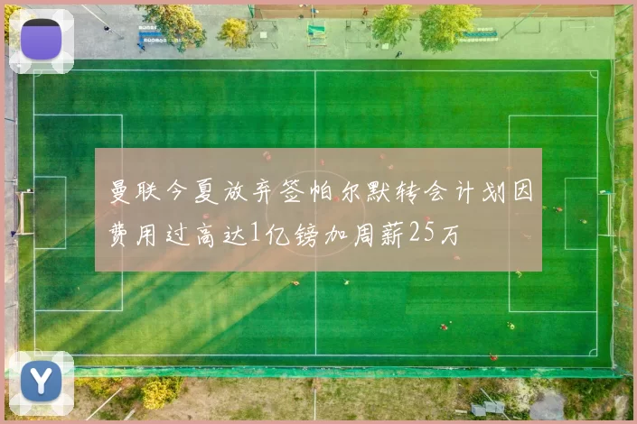 曼联今夏放弃签帕尔默转会计划因费用过高达1亿镑加周薪25万
