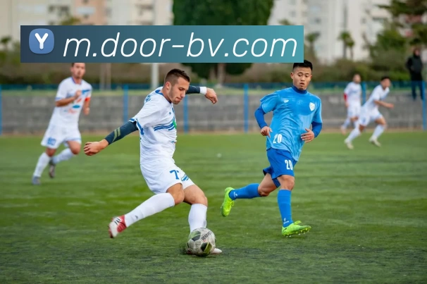 宝威体育服务体系